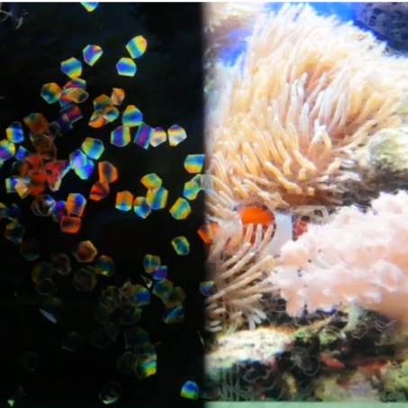 photorealistic-tracer-particles